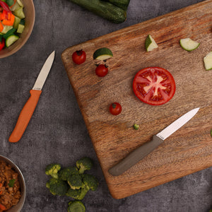 A dark countertop displays the Zyliss 2 Piece Knife Set with a wooden cutting board, sliced tomato, cherry tomatoes, zucchini pieces, broccoli florets, and bowls of chopped vegetables.