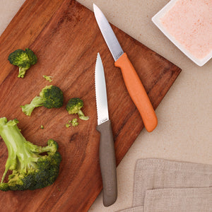 The Zyliss 2 Piece Knife Set, featuring orange and brown handled knives, rests on a wooden cutting board with chopped broccoli. A square dish of pink salt and a beige towel lie nearby on the light countertop.